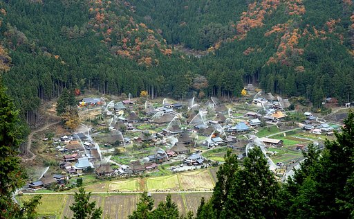 秋の放水（美山町にて）