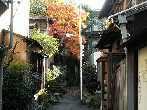 １２月のオフィシャルさん指名の件