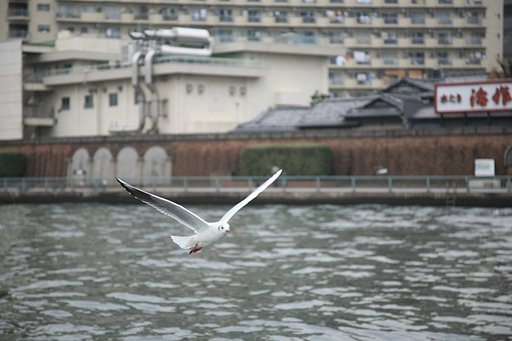 誰かが貼る前に(笑)