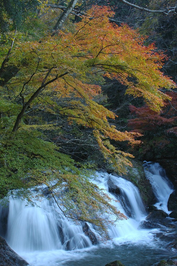 滝と紅葉