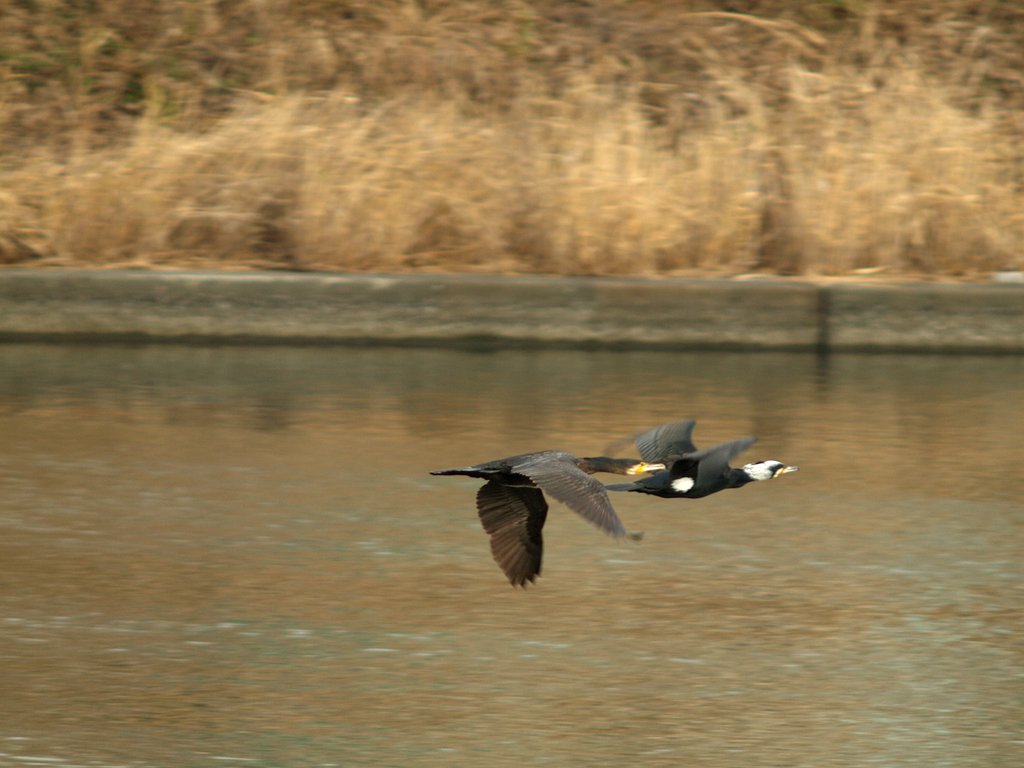 う！