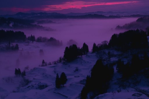 「寒」　夜明けのソナタ