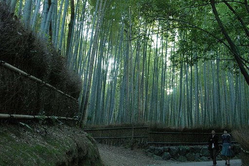 竹林の小道