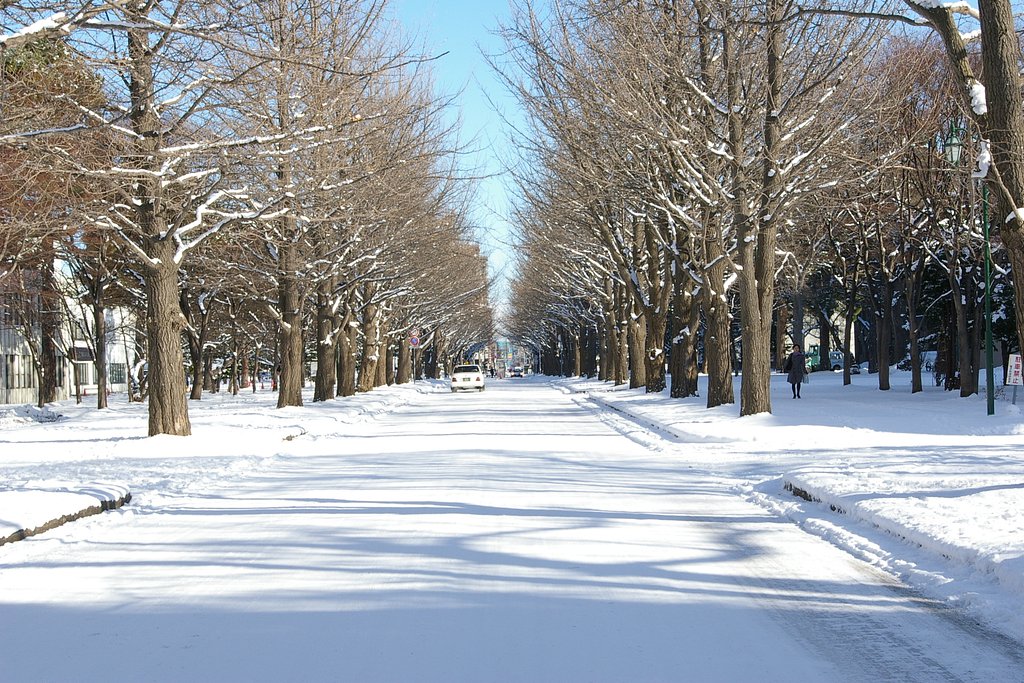 雪道