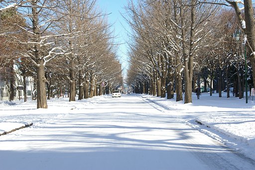 雪道