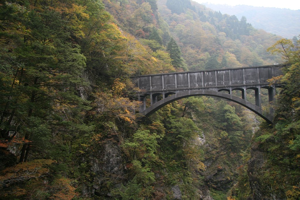 【木】峡谷にかかる橋（ガッカリ編）