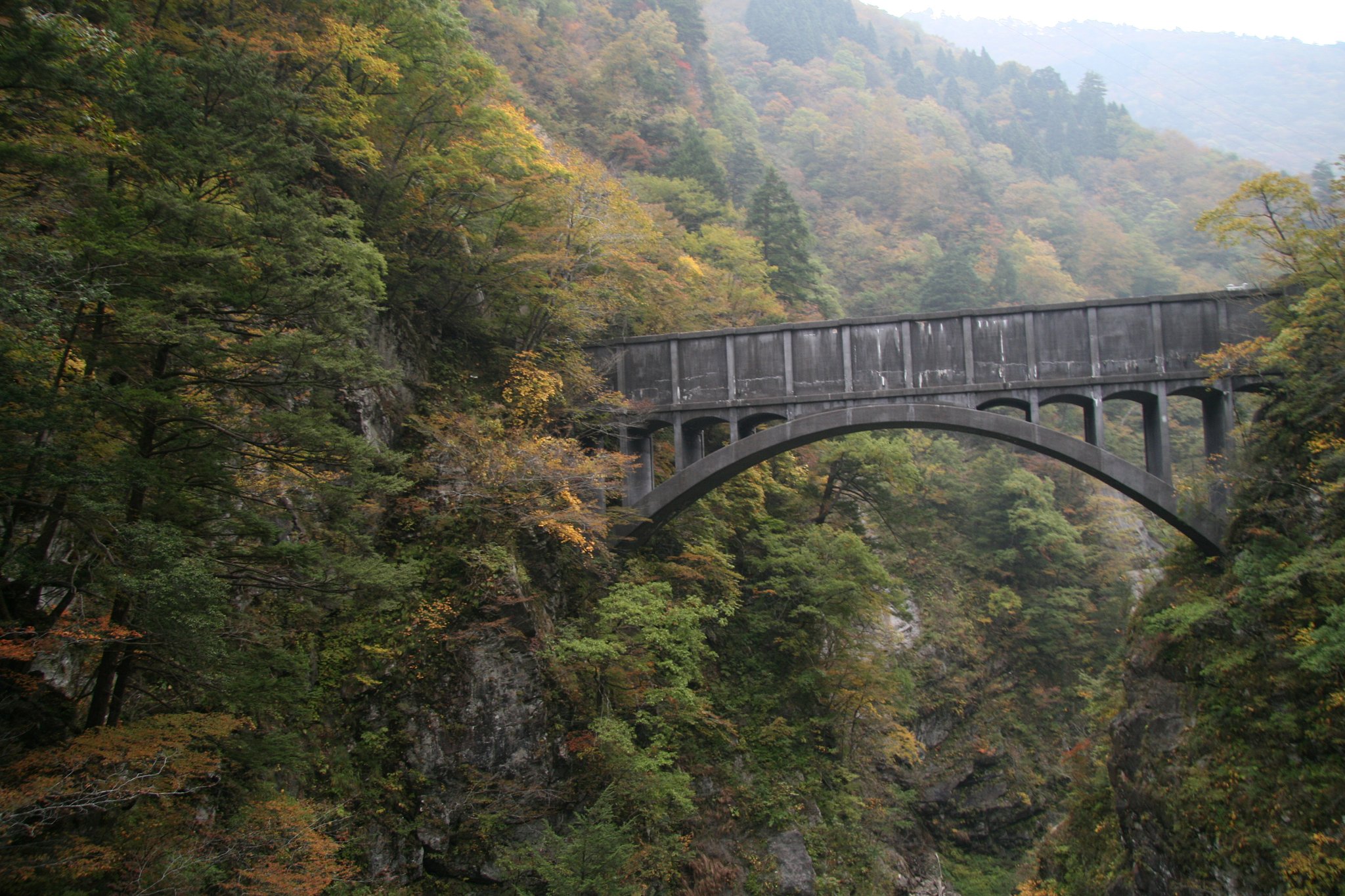 【木】峡谷にかかる橋（ガッカリ編）