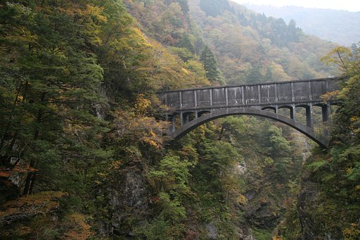 【木】峡谷にかかる橋（ガッカリ編）
