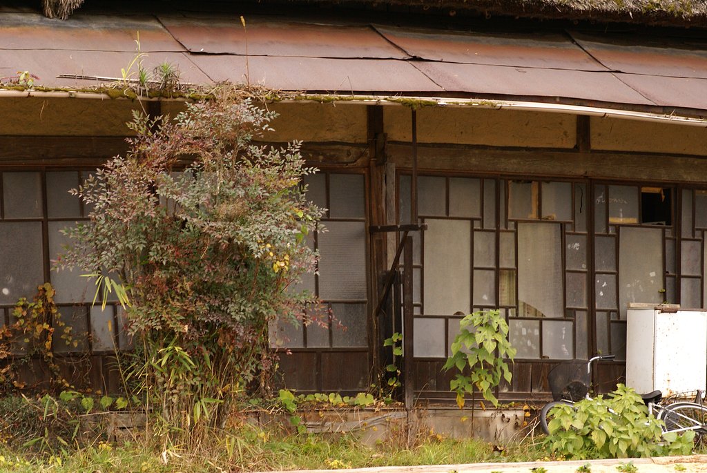 【木】廃屋