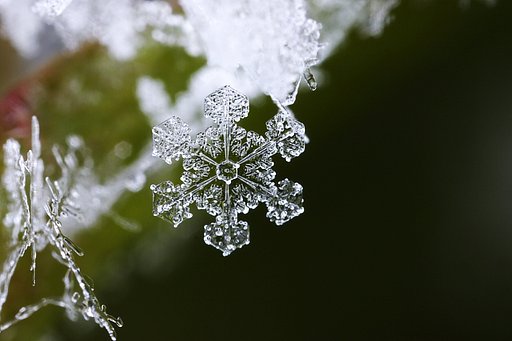 雪のオブジェ