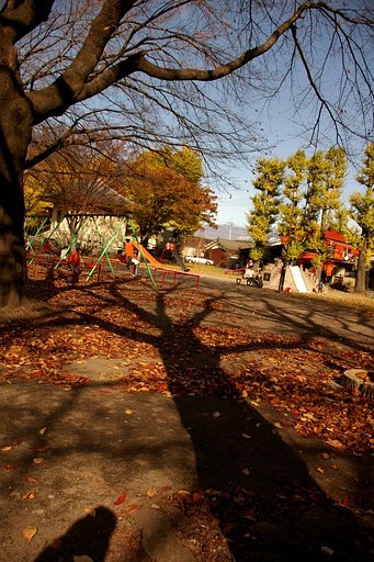 散歩道　＃１