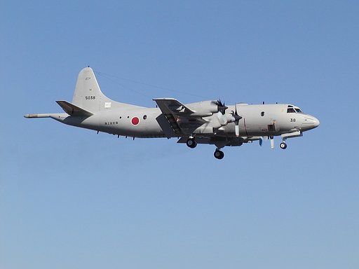 P3C