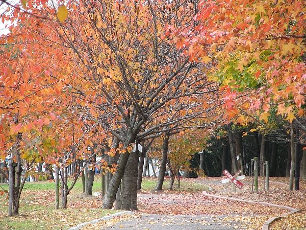 公園