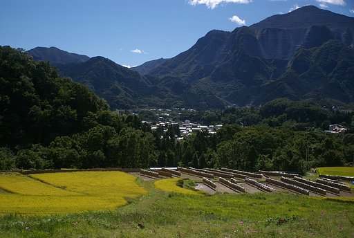 秩父武甲山