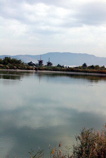 薬師寺遠景