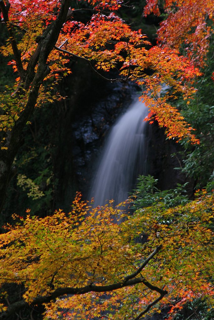 岐阜県　養老乃滝