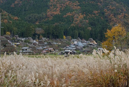 晩秋の里（美山町にて）