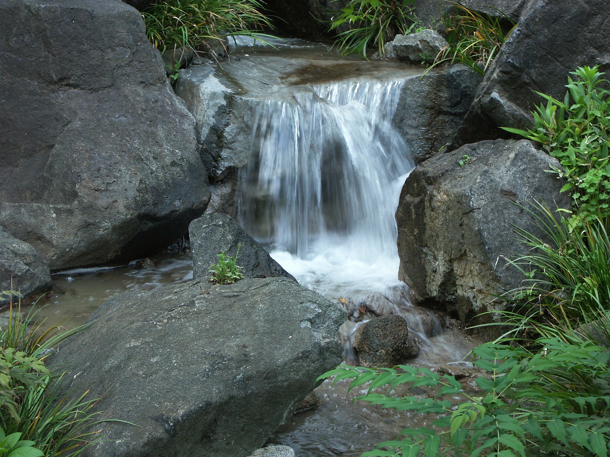 毛利公園