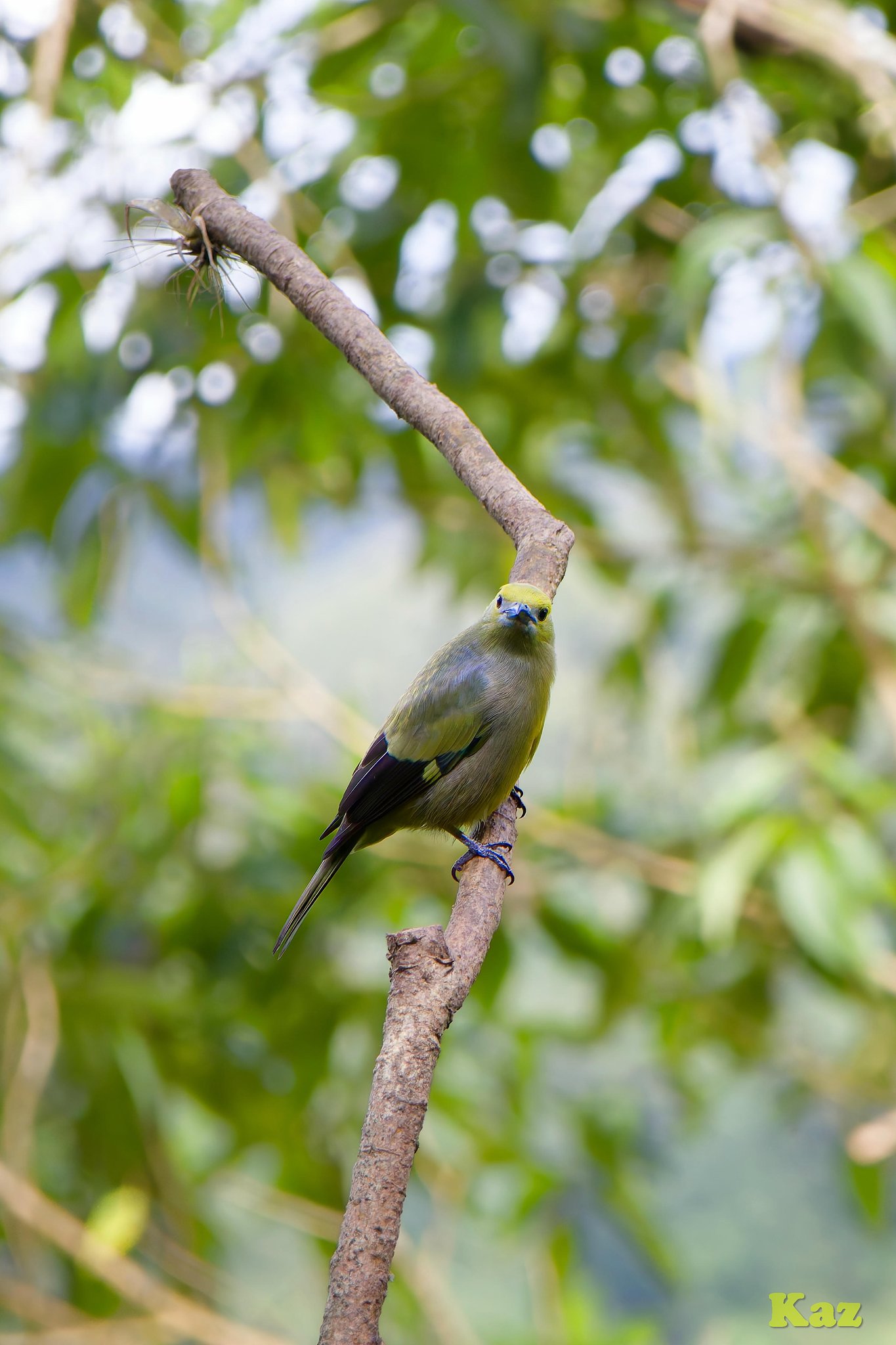 Costa Rica 26