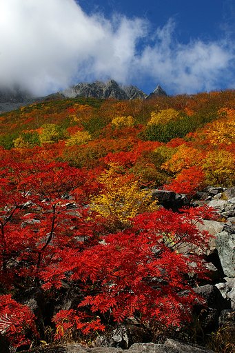 去年の涸沢