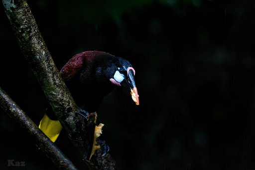 Costa Rica 27