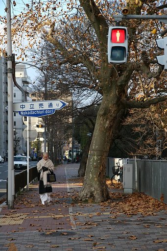 【寒】冬枯れの街