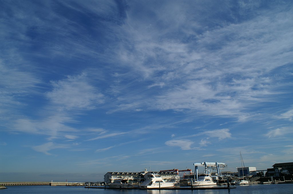 BAY SKY