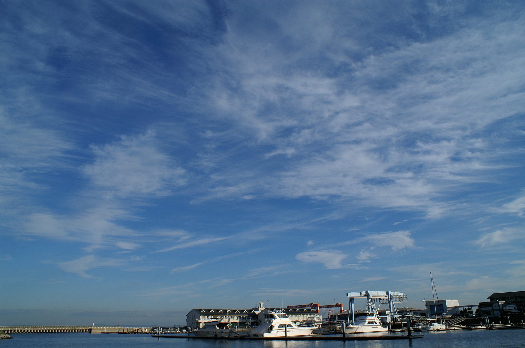 BAY SKY