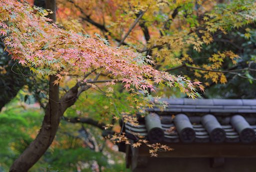 中々キレイに色着きませんね
