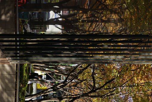 【陽光】見上げれば…