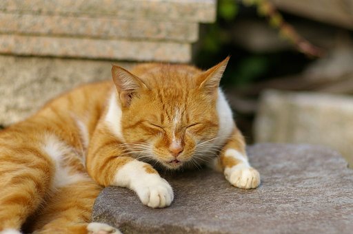 【MFS】今年も宜しくお願いします