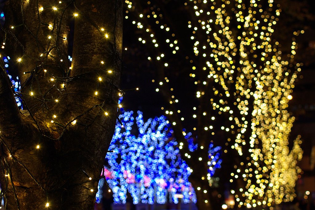 ☆;:*:;☆“Merry*Christmas”☆;:*:;☆