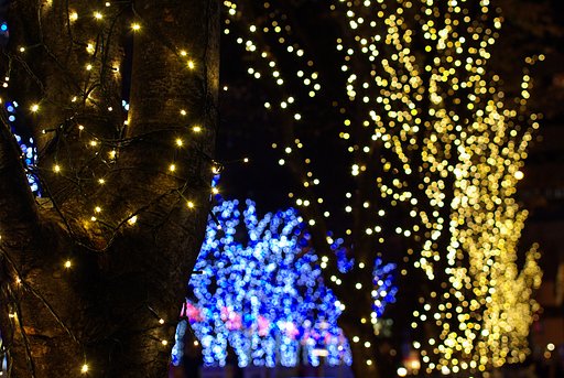 ☆;:*:;☆“Merry*Christmas”☆;:*:;☆