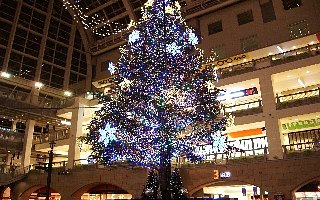 何メーロルくらいかなぁ？