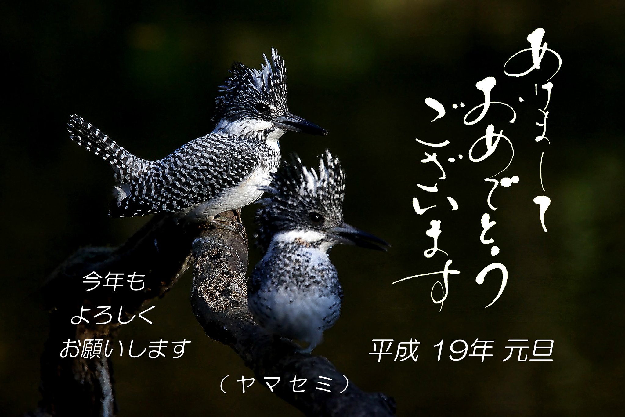 あけましておめでとうございます