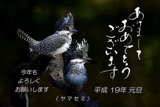 あけましておめでとうございます