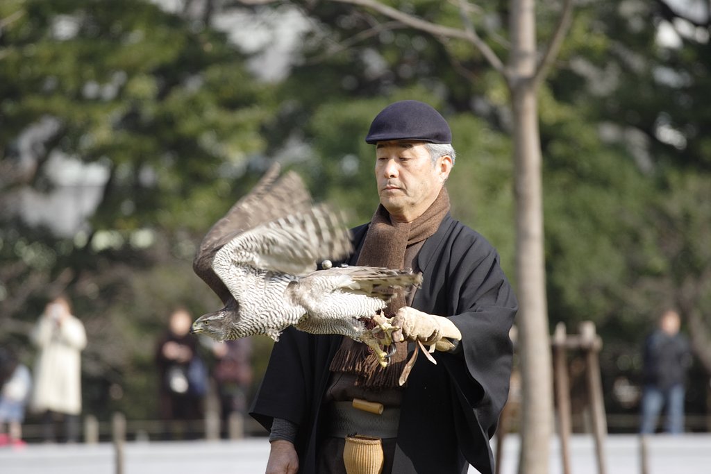 大鷹の発信