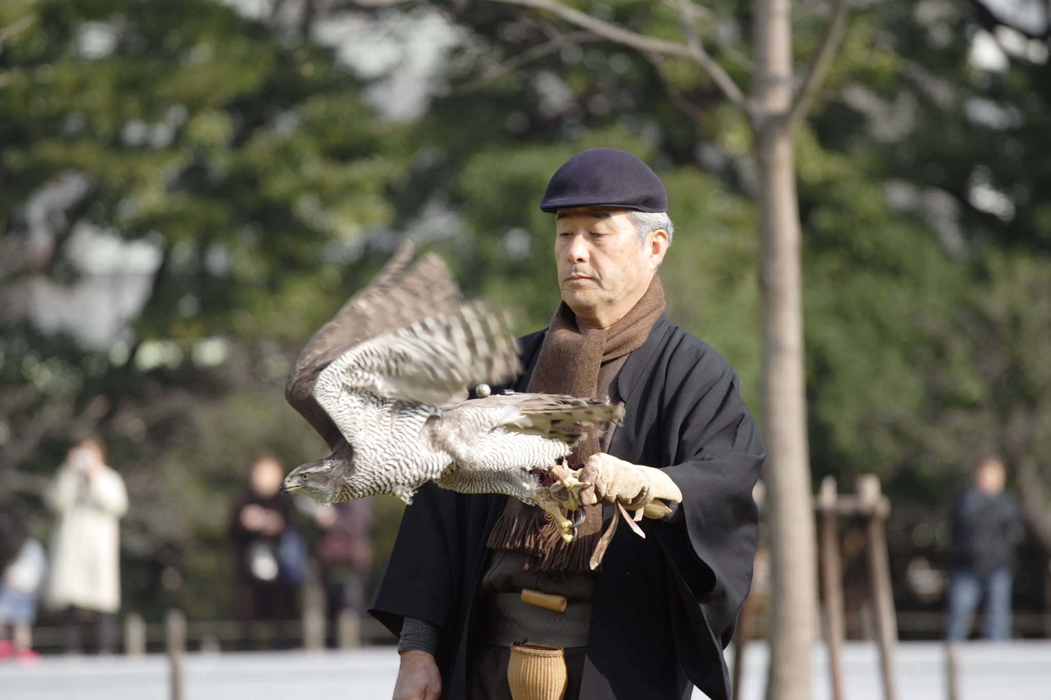 大鷹の発信