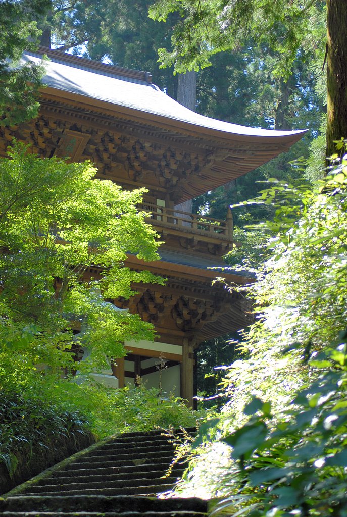 重み