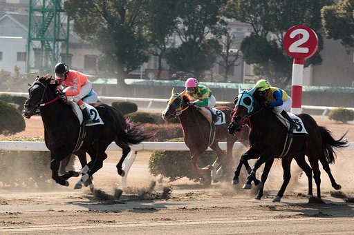 【写楽】競馬も写真も