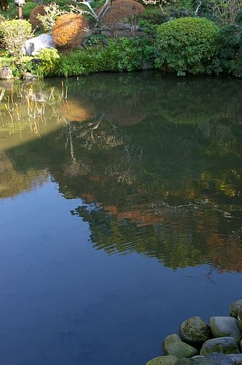 池面に写る紅葉