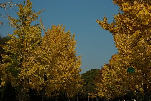 今、何時？