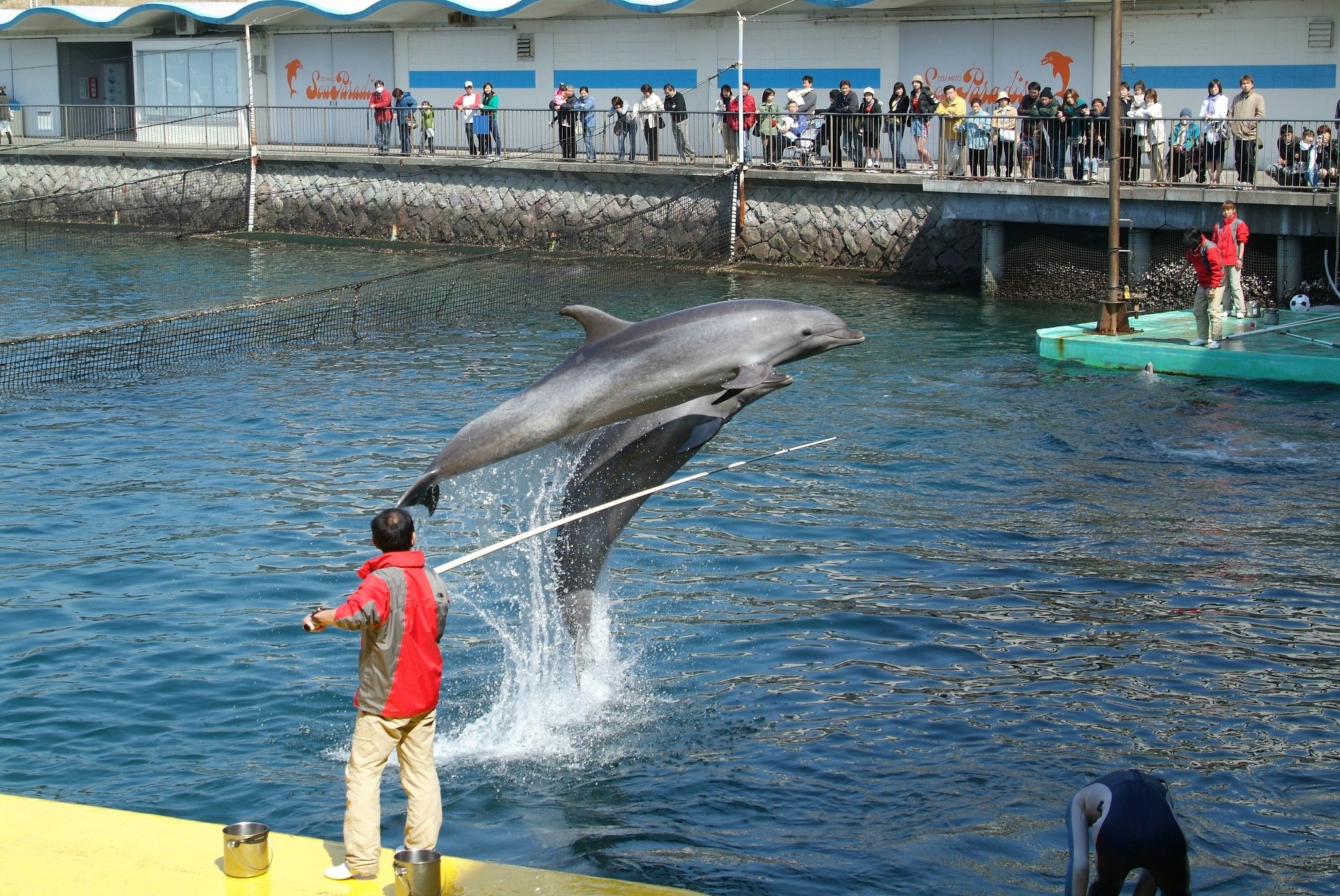 JUMP '06