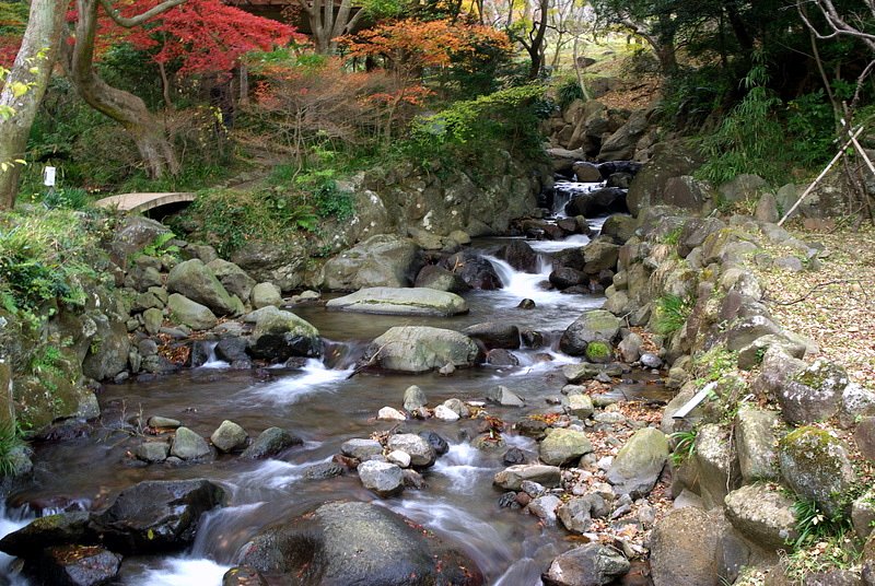 熱海梅園