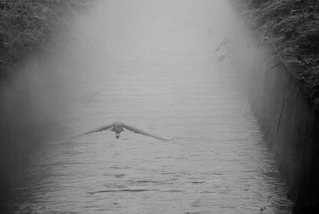【寒】暖水