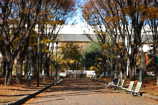 『陽光』ひと時の休息