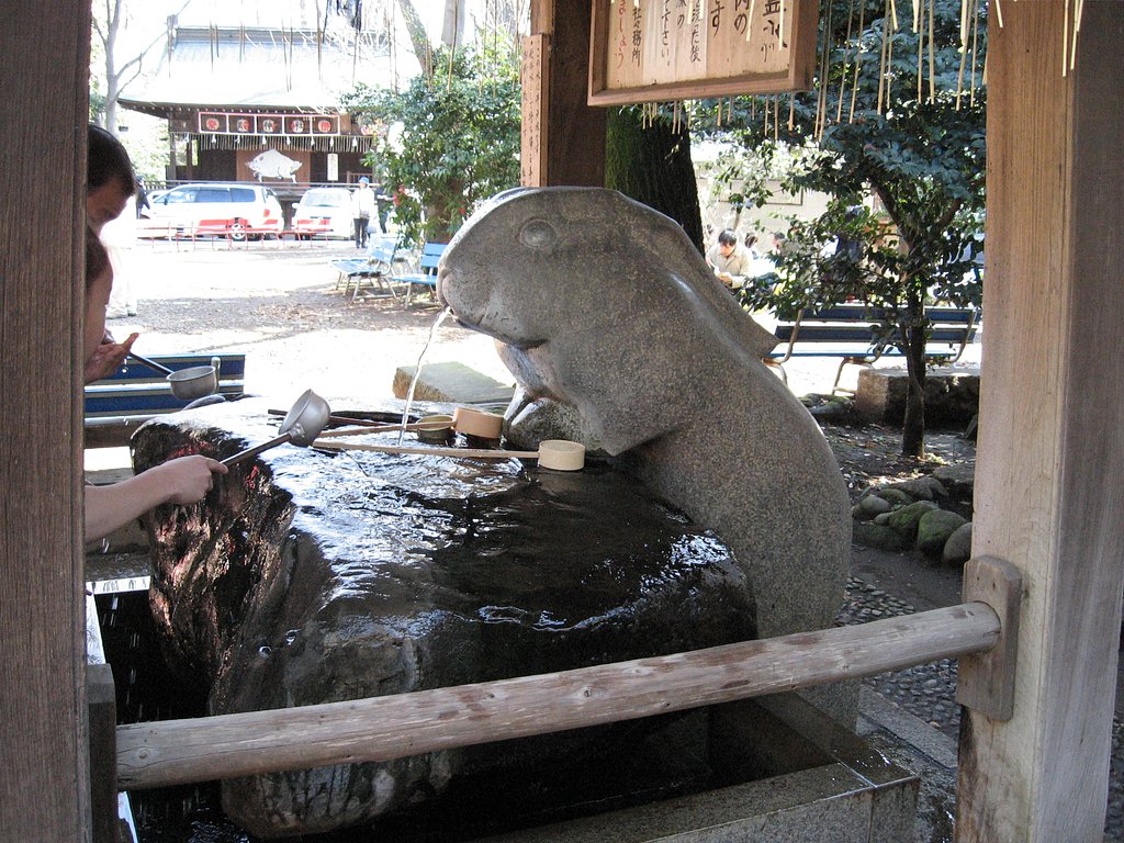 さ、手を洗って