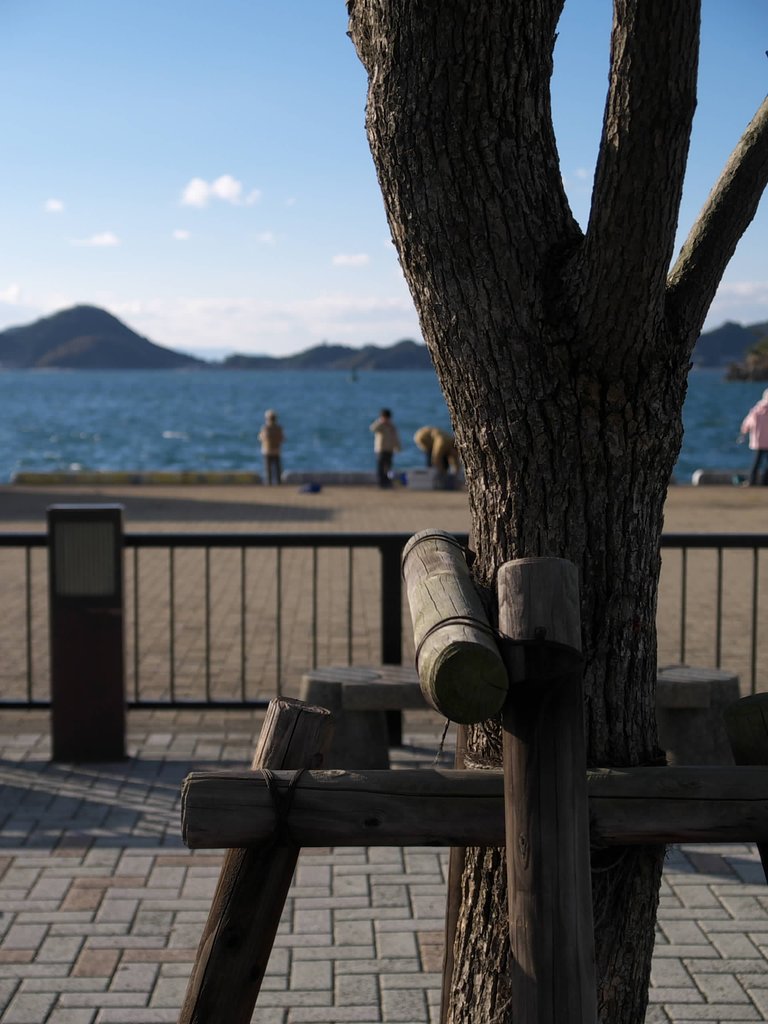 休日の海岸公園