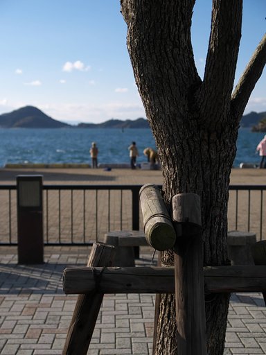 休日の海岸公園