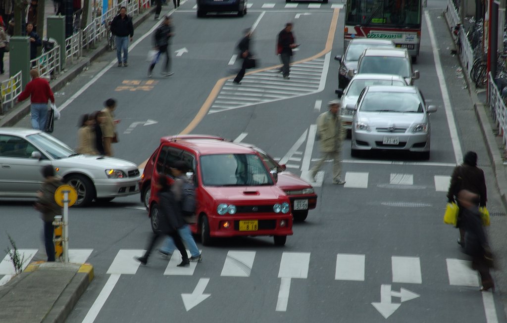 『寒』寒いとボケるね